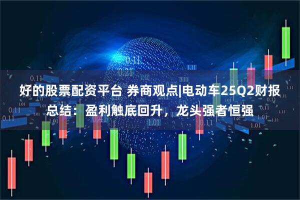 好的股票配资平台 券商观点|电动车25Q2财报总结：盈利触底回升，龙头强者恒强