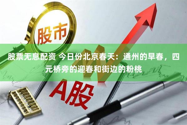 股票无息配资 今日份北京春天：通州的早春，四元桥旁的迎春和街边的粉桃