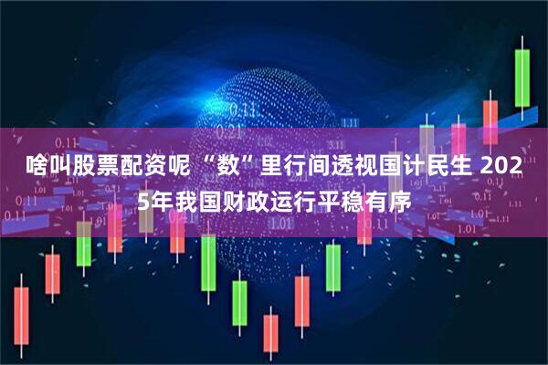 啥叫股票配资呢 “数”里行间透视国计民生 2025年我国财政运行平稳有序