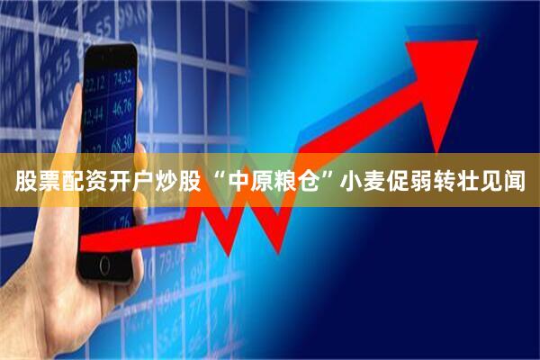 股票配资开户炒股 “中原粮仓”小麦促弱转壮见闻