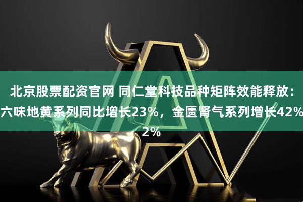 北京股票配资官网 同仁堂科技品种矩阵效能释放：六味地黄系列同比增长23%，金匮肾气系列增长42%